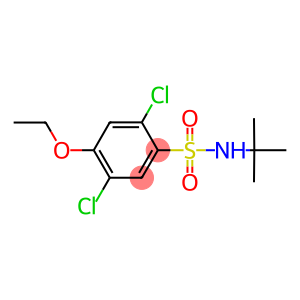 N-(tert-butyl)-2,5-dichloro-4-ethoxybenzenesulfonamide