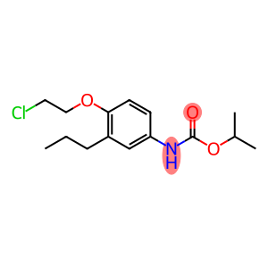Carbamic acid, [4-(2-chloroethoxy)-3-propylphenyl]-, 1-methylethyl ester