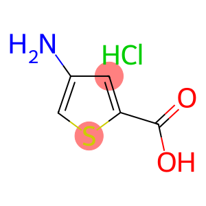 4-氨基-2-噻吩羧酸盐酸盐