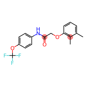 2-(2,3-dimethylphenoxy)-N-[4-(trifluoromethoxy)phenyl]acetamide