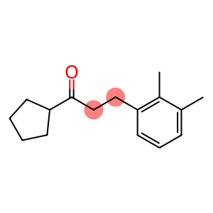 CYCLOPENTYL 2-(2,3-DIMETHYLPHENYL)ETHYL KETONE