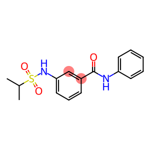 Benzamide, 3-[[(1-methylethyl)sulfonyl]amino]-N-phenyl-