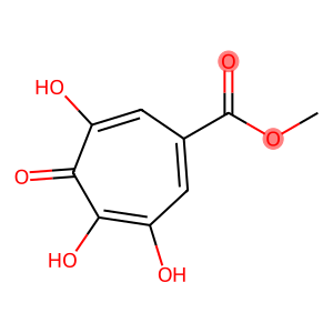 Puberulic acid Impurity 27