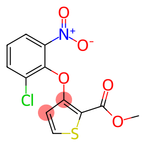 METHYL 3-(2-CHLORO-6-NITROPHENOXY)-2-THIOPHENECARBOXYLATE