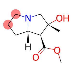 ISOTUSSILAGINE