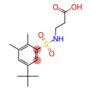 N-[(5-tert-butyl-2,3-dimethylphenyl)sulfonyl]-beta-alanine