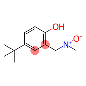 Phenol, 4-(1,1-dimethylethyl)-2-[(dimethyloxidoamino)methyl]-