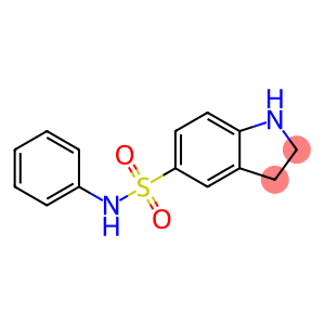 N-苯基吲哚啉-5-磺酰胺