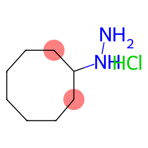 1-cyclooctylhydrazine hydrochloride