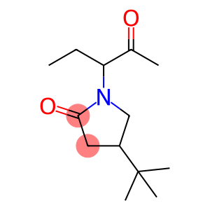 2-Pyrrolidinone, 4-(1,1-dimethylethyl)-1-(1-ethyl-2-oxopropyl)-