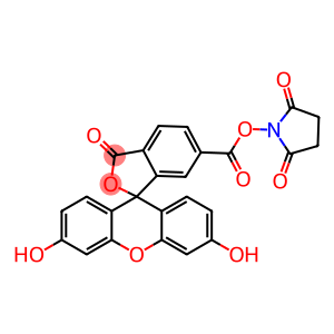 6-羧基荧光素琥珀酰亚胺醚