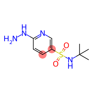 N-tert-butyl-6-hydrazinylpyridine-3-sulfonamide