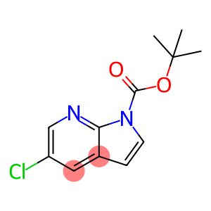 5-CHLORO-PYRROLO[2,3-B]PYRIDINE-1-CARBOXYLICACIDTERT-BUTYLESTER