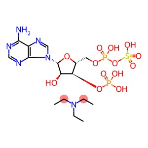 3'-Phosphoadenosine 5'-phosphosulfate triethylammnonium salt