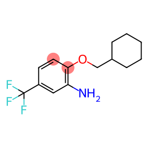 2-(CYCLOHEXYLMETHOXY)-5-(TRIFLUOROMETHYL)ANILINE