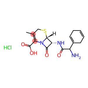 [6R-[6alpha,7beta(R*)]]-7-(aminocyclohexa-1,4-dien-1-ylacetamido)-3-methyl-8-oxo-5-thia-1-azabicyclo[4.2.0]oct-2-ene-2-carboxylic acid monohydrochloride