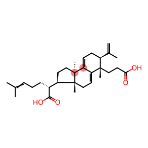 16-去氧茯苓酸B