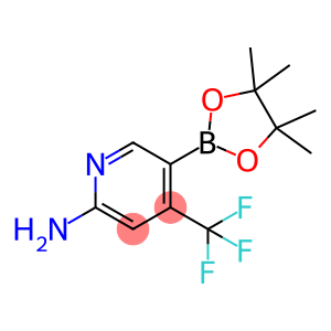 2-氨基-4-三氟甲基-5-吡啶硼酸哪醇酯