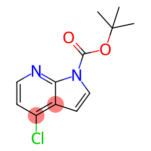 1H-PYRROLO[2,3-B]PYRIDINE-1-CARBOXYLIC ACID,4-CHLORO-, 1,1-DIMETHYLETHYL ESTER