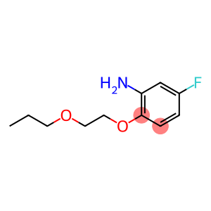 5-FLUORO-2-(2-PROPOXYETHOXY)ANILINE