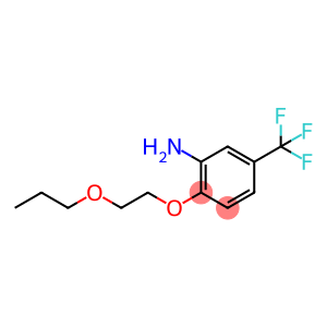 2-(2-PROPOXYETHOXY)-5-(TRIFLUOROMETHYL)ANILINE