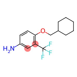 BenzenaMine, 4-(cyclohexylMethoxy)-3-(trifluoroMethyl)-