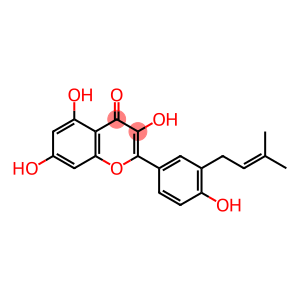 Isolicoflavonol