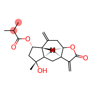 2β-(isobutyryloxy)florilenalin