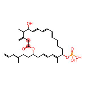 [(4Z,6Z,12Z,14Z,16Z)-18-hydroxy-7,19-dimethyl-2-[(3E)-3-methylhexa-3,5-dienyl]-20-methylidene-22-oxo-1-oxacyclodocosa-4,6,12,14,16-pentaen-8-yl] dihydrogen phosphate