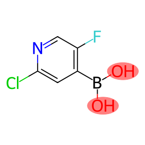 2-氯-5-氟吡啶-4-硼酸