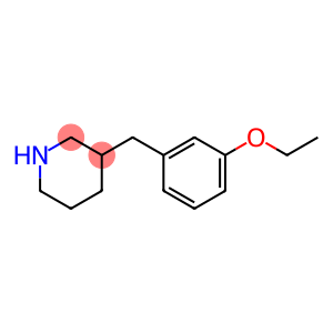 3-(3-ETHOXY-BENZYL)-PIPERIDINE