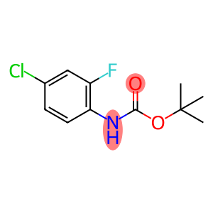 (4-chloro-2-fluoro-phenyl)-carbaMic acid tert-butyl ester