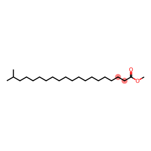 METHYL 19-METHYLEICOSANOATE