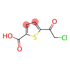 2-Thiophenecarboxylic acid, 5-(chloroacetyl)- (9CI)