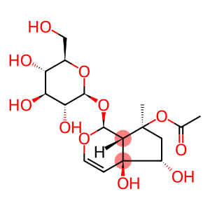 6-表-8-O-乙酰哈巴苷