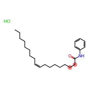 N-phenyloleamide  hydrochloride