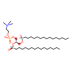 PHOSPHATIDYLCHOLINE, L-ALPHA-DIPALMITOYL, [DIPALMITOYL-1-14C]