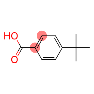 4-tert-butylbenzoic acid