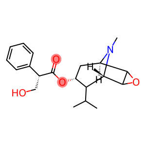 8-isopropylscopolamine