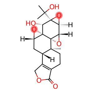 TRIPTOLIDENOL