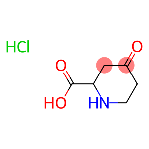 4-OXOPIPERIDINE-2-CARBOXYLIC ACID HCL