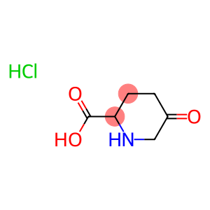 2-Piperidinecarboxylic acid, 5-oxo-, hydrochloride