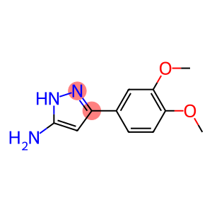 5-Amino-3-(3,4-dimethoxyphenyl)-1H-pyrazole