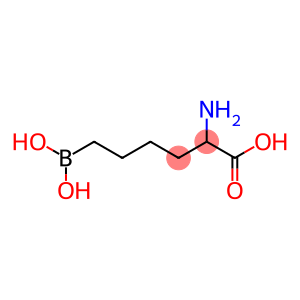 2-amino-6-boronohexanoic acid