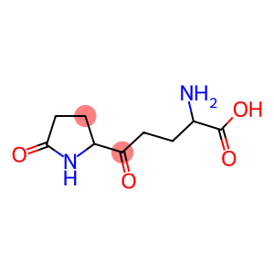 2-AMINO-5-OXO-5-(5-OXO-PYRROLIDIN-2-YL)-PENTANOIC ACID