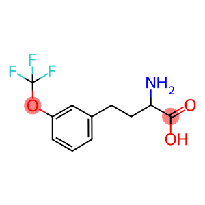 2-AMINO-4-(3-TRIFLUOROMETHOXY-PHENYL)-BUTYRIC ACID