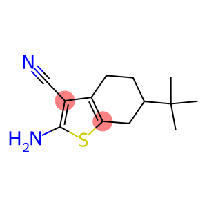 2-AMINO-6-TERT-BUTYL-4,5,6,7-TETRAHYDRO-BENZO[B]THIOPHENE-3-CARBONITRILE