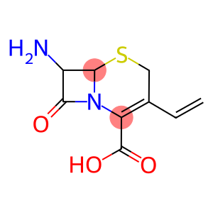 7-AMINO-8-OXO-3-VINYL-5-THIA-1-AZA-BICYCLO[4.2.0]OCT-2-ENE-2-CARBOXYLIC ACID