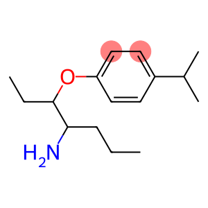 1-[(4-aminoheptan-3-yl)oxy]-4-(propan-2-yl)benzene