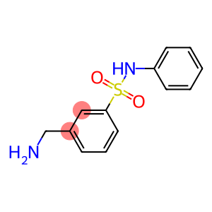 3-(aminomethyl)-N-phenylbenzenesulfonamide